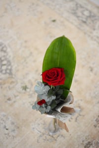 Image 3 of Rosa de Sant Jordi - La de sempre