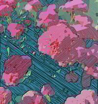 Image 1 of Flowers Deconstructed