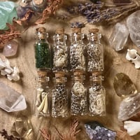 Image 1 of Mini Oddity Jars