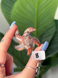 Image 2 of CHOOSE YOUR OWN MINI SOAPSTONE STARFISH