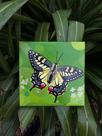 Image 1 of Swallowtail Butterfly