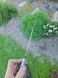 Image 5 of petty