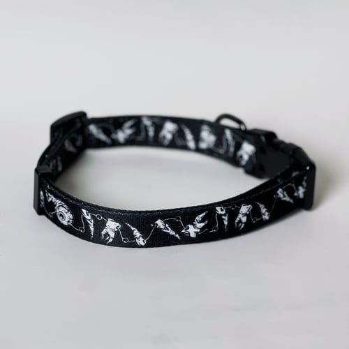 Image of Trophy necklace dog collar 