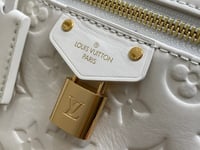 Image 15 of ĻV Vanity Case