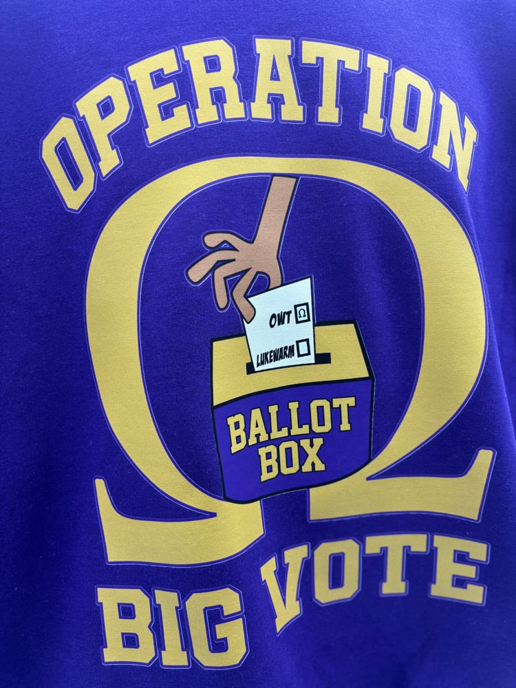 Operation Big Vote