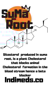 Image 2 of Suma root 