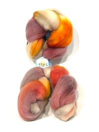 Falkland Merino 🔥 