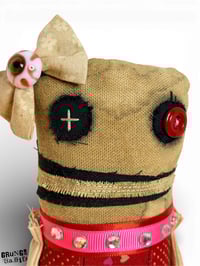 Image 2 of Amora Rose