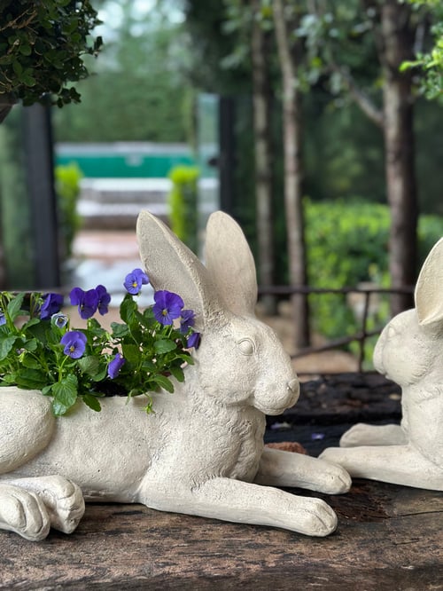 Image of Rabbit Planter