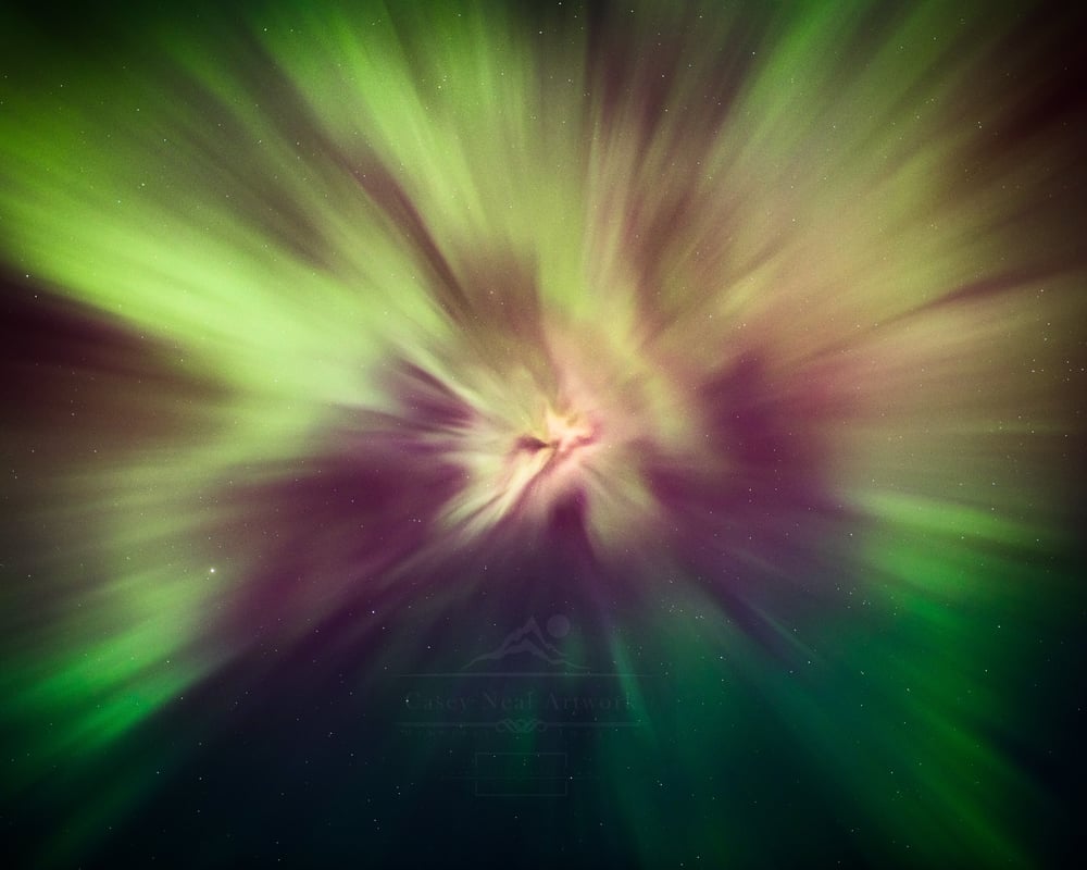 Image of The Night’s Dance