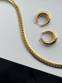 Image 5 of Rose Hoops