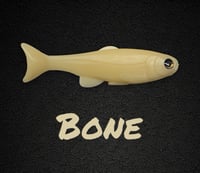 Image 1 of Roma Trout - BONE