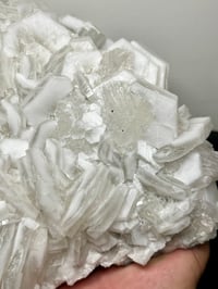 Image 12 of Large Bladed Calcite UV Specimen | Fujian China #2871