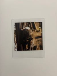 Image 10 of HR GIGER - CAMILLE VIVIER