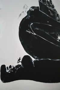 Image 4 of The extraction