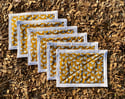Mustard Hens - Placemats - Set of 6