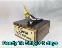 Image 1 of Custom Engraved Male Grey Cockatiel Handpainted Bird Mini Keepsake Urn
