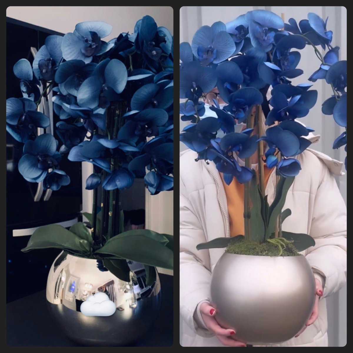 Image of Blue orchid bowl