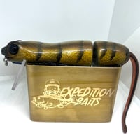 Image 1 of Silly Sally XL (Blue Belly Lizard)