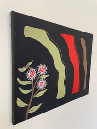 Image 3 of “Hakea”