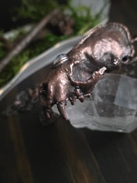 Image 3 of Mink Skull with Moonstone