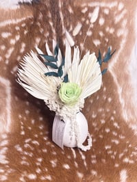 Image 1 of White Wings 