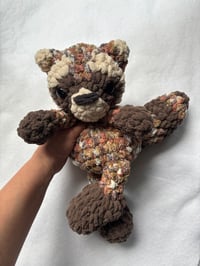 Image 2 of rhodes raccoon 