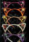Festival Cat Ears pt 3