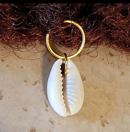 Image 2 of Cowrie Shells