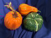 Image 3 of Fall Basket