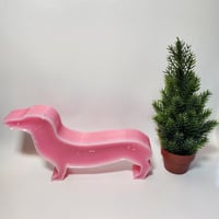 Image 3 of Wiener Wax - Standard Dachshund 