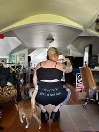 Image 1 of flagpole shorts