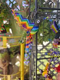 Image 8 of HUMMINGBIRDS (huitzilin)