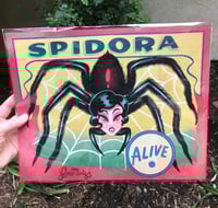 Image 1 of Spidora print
