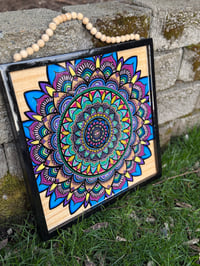 Image 6 of Rooted ✨