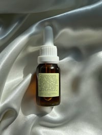 Image 6 of GARDEN OF WASILAAH | Anti-Inflammatory Clarifying Concentrate