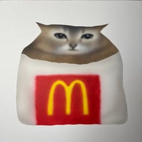Image 1 of McVro