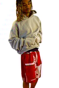 Image 5 of TFS Reconstructed Shorts v3