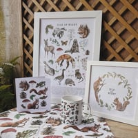 Image 4 of Red Squirrel Wreath 20x20cm Art Print 