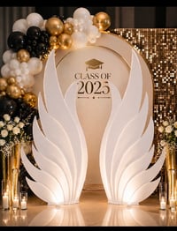 Image 4 of Angel Wing Backdrop Setup