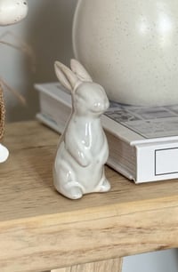 Image 1 of Small Natural Bunny