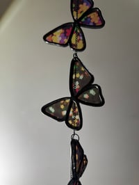 Image 3 of Butterfly V5