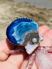 Image 2 of 💜Shell Creature💜 Spider Orchid 