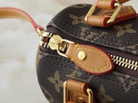 Image 4 of LV MINI 