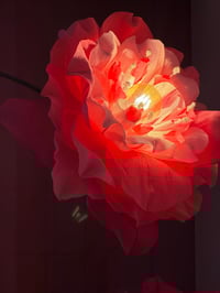 Image 4 of ACID BLOOM workshop