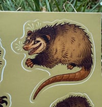 Image 3 of Urban Trash Animals Sticker Sheet 4 x 6”