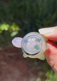Image 4 of Fancy Turtle! 🌸🐢🌸