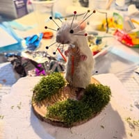 Image 2 of Taxidermy For Beginners at Ouroboros Sat 21st June 11am - 3.30