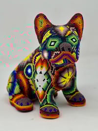 Image 1 of French Bulldog Puppy 003
