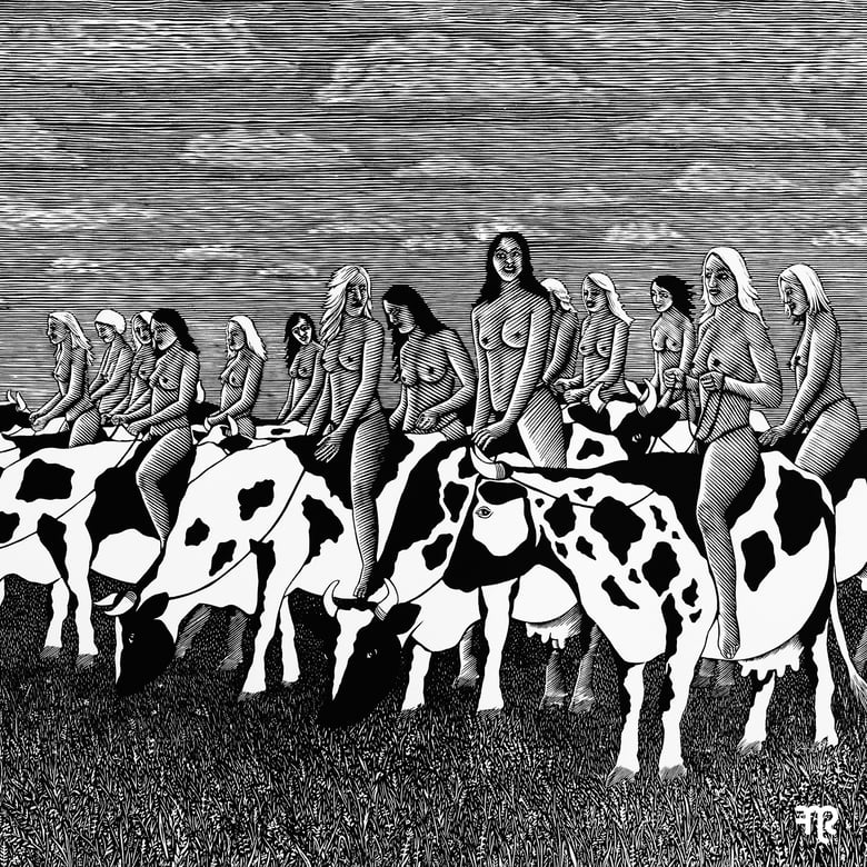 Image of (FNR-200)  ***LOW STOCK***